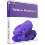 Microsoft Windows 11 Enterprise