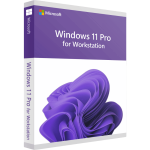 Microsoft Windows 11 Pro for Workstation